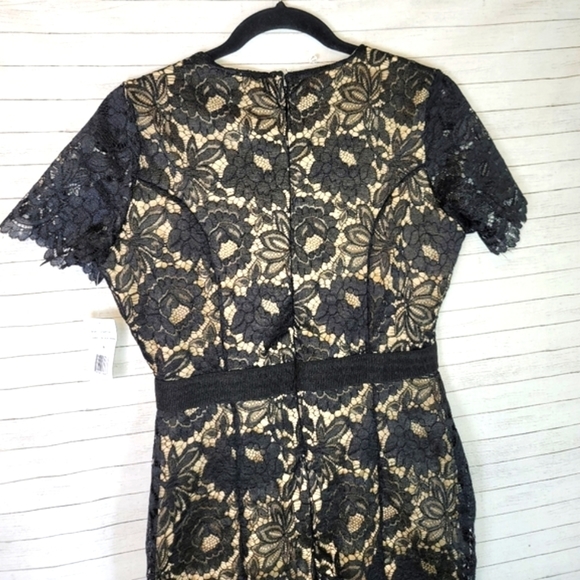 Alexia Admor Black and Gold Lace Midi Dress - Picture 11 of 13